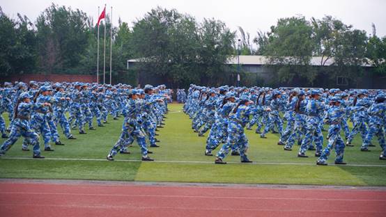 許多人在草地上描述已自動生成