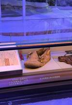 367f8527043d69323a99fea7142af28